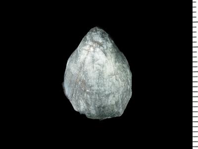 https://files.geocollections.info/large/8f/79/8f799e68-88f7-4bef-a82f-804c60991e79.jpg