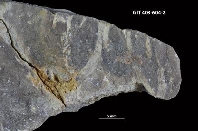 <i></i><br />Ohesaare cliff,  m, Ohesaare Stage