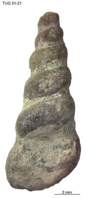 https://files.geocollections.info/large/90/5f/905f82a6-9411-475f-9592-6b4d726551c6.jpg