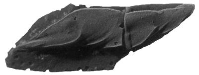 https://files.geocollections.info/large/90/75/907522a1-a6e0-45c0-b3e3-ad106cc32397.jpg