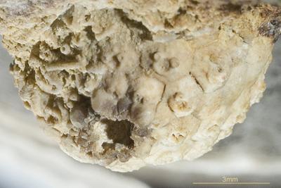 https://files.geocollections.info/large/90/83/9083e573-3bba-4bb0-8e5f-dacd654af606.jpg