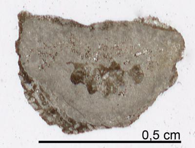 https://files.geocollections.info/large/90/87/9087377a-df6c-4960-80cf-85f868cd51f9.jpg