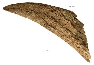 https://files.geocollections.info/large/90/8d/908de64b-8e21-49af-a71e-e6fc06bf2896.jpg