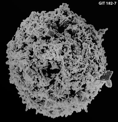 https://files.geocollections.info/large/90/d9/90d941a6-02c1-4a2c-98e0-4d6bf9188497.jpg