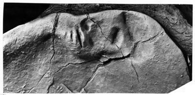 https://files.geocollections.info/large/91/70/9170445f-dee5-4517-8cc2-0bd79a3a1079.jpg