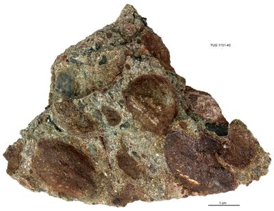 https://files.geocollections.info/large/91/72/9172fcc3-db84-40de-a7f6-db6a92df7f8f.jpg