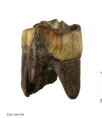 https://files.geocollections.info/large/92/61/9261163a-04d5-44f8-be24-667e9c558799.jpg