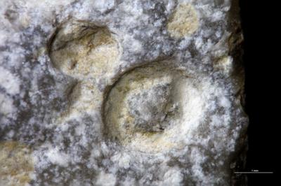 <i></i><br />Suuriku cliff,  m, Jaani Stage