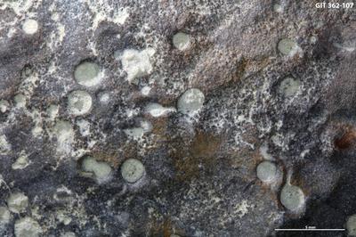 <i></i><br />Päärdu outcrop,  m, Adavere Stage