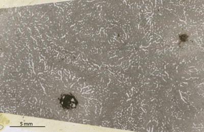 https://files.geocollections.info/large/92/c5/92c52fcb-cbae-4c03-b192-b63f11cde2c4.jpg