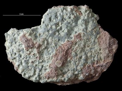 <i></i><br />Syass River, Rebrovo, Leningrad District,  m, Volkhov Stage