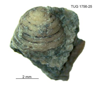 https://files.geocollections.info/large/92/e2/92e2ad02-a732-4154-92d3-be07035815f1.jpg
