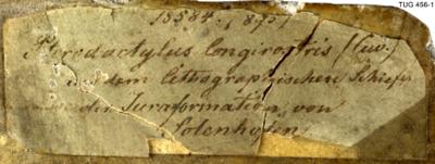 https://files.geocollections.info/large/93/4b/934b7310-5b07-4ba9-a386-1c37edcc58df.jpg