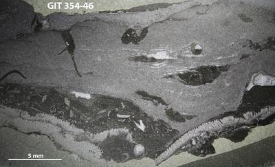 https://files.geocollections.info/large/93/62/93620ce4-69fe-4382-8517-f5ca8e3a8551.jpg