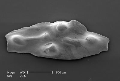 https://files.geocollections.info/large/93/9a/939a741a-f81a-4c2b-9914-1effb85b23ce.jpg