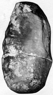https://files.geocollections.info/large/94/43/9443cbe4-6de4-488f-8ef4-eda506d300da.jpg