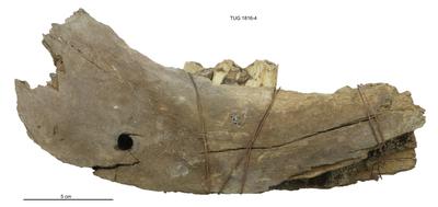 https://files.geocollections.info/large/94/76/94767d38-d635-49c2-abc5-0499127f7b64.jpg