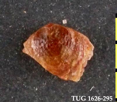 https://files.geocollections.info/large/94/9f/949fb1b3-a872-4c1a-b92f-2dc0b01290e0.jpg