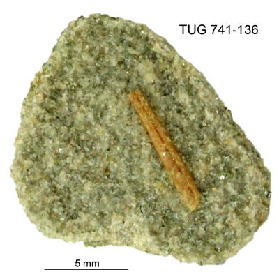 https://files.geocollections.info/large/94/c0/94c0864b-bc9d-41b8-86d8-f32887741c28.jpg