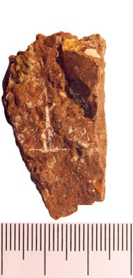 https://files.geocollections.info/large/94/d4/94d4e360-ad77-49f8-a503-7aaf7eb6b2fa.jpg