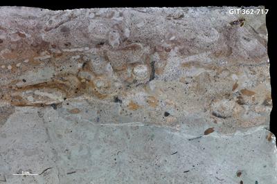 <i></i><br />Harku quarry,  m, Kunda Stage