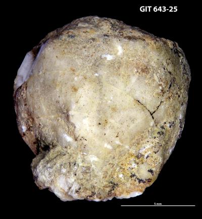 https://files.geocollections.info/large/94/df/94df6fc2-2e58-4455-bcf9-d95f438db7ec.jpg