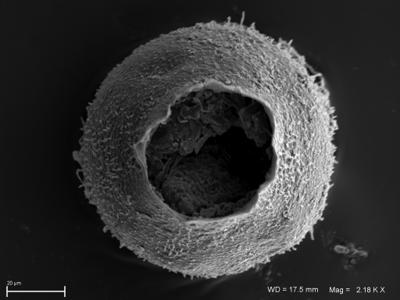 https://files.geocollections.info/large/94/f3/94f30d59-3a0e-4fee-83e8-62b54dda3e75.jpg