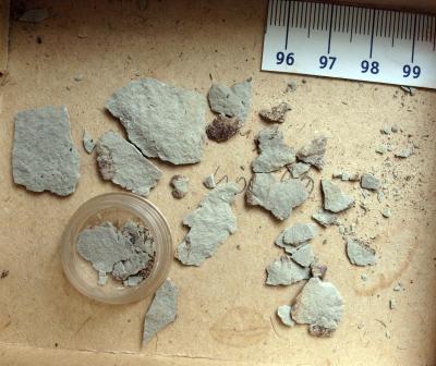 https://files.geocollections.info/large/95/36/9536c6b4-738a-454d-85c2-5000253d85df.jpg