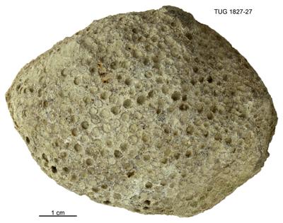 https://files.geocollections.info/large/95/79/95792c25-981a-4981-bea7-f8a04fdf9da2.jpg