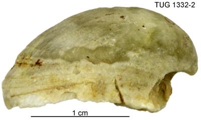 https://files.geocollections.info/large/96/42/96427b83-186d-4594-883f-af93492f60f3.jpg