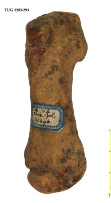 https://files.geocollections.info/large/96/da/96daa000-4a21-4e49-b300-9d5c3c8d6362.jpg