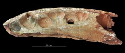 https://files.geocollections.info/large/97/3f/973f1ec7-2849-42a8-b6bb-41bb600e4c3f.jpg