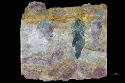 <i></i><br />Lelle D-102 borehole, 262.75 m, Volkhov Stage