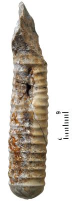 https://files.geocollections.info/large/98/94/9894863b-6350-4dd6-8e72-0df06ec00394.jpg