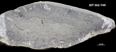 <i></i><br />Ohesaare cliff,  m, Ohesaare Stage