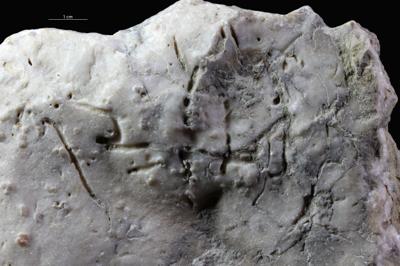 <i></i><br />Saxby shore,  m, Vormsi Stage