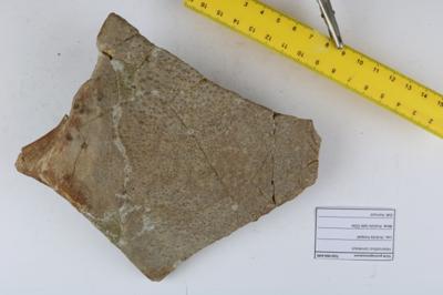 https://files.geocollections.info/large/99/06/99064d96-4dc5-4cf0-9229-db0cb53439cc.JPG