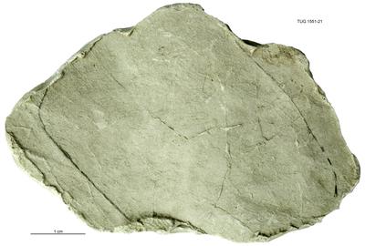 https://files.geocollections.info/large/99/15/9915d49e-2c11-49e0-9a33-6d1ed003b93f.jpg