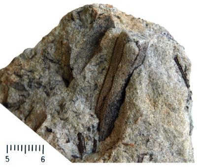 https://files.geocollections.info/large/99/84/9984435f-7f6d-426d-8e41-ead2202427e2.jpg