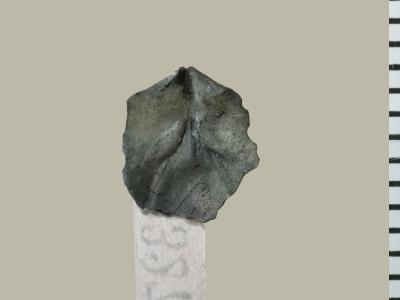 https://files.geocollections.info/large/99/df/99df09fb-5999-41ac-a3aa-955a5abd5172.jpg