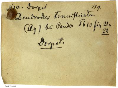 https://files.geocollections.info/large/9a/f3/9af32f84-d02d-4680-879e-006e6153fecc.jpg