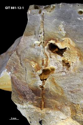 <i></i><br />Sutlema quarry,  m, 