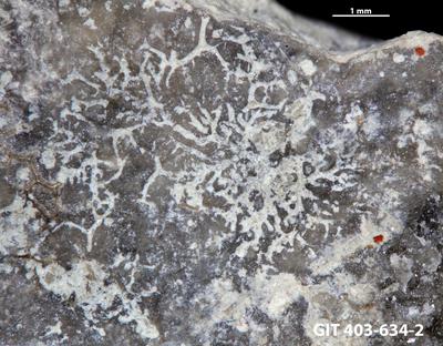 <i></i><br />Ohesaare cliff,  m, Ohesaare Stage