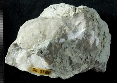 https://files.geocollections.info/large/9d/78/9d783ab0-f9a4-4a10-82c5-d63f4da5865d.jpg