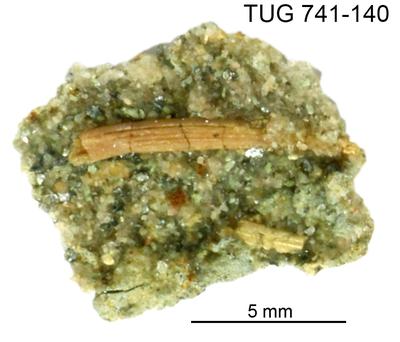 https://files.geocollections.info/large/9d/9c/9d9c892d-16f0-46b1-b1fe-65fb5ac02a58.jpg