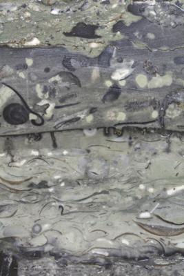 <i></i><br />Saku trench,  m, 