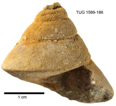 https://files.geocollections.info/large/9d/f0/9df06b9d-1b2f-437e-8dd8-f9ba6210772c.jpg
