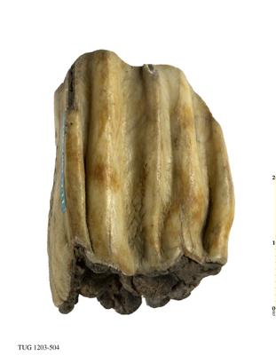 https://files.geocollections.info/large/9d/f7/9df745b3-7e6b-402e-93c0-73254a0dbcb7.jpg