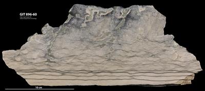 <i></i><br />Reinu Quarry,  m, 
