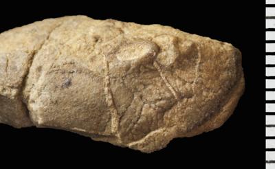 https://files.geocollections.info/large/9e/51/9e51bcce-6d97-463d-abc8-3423d8f7764a.jpg